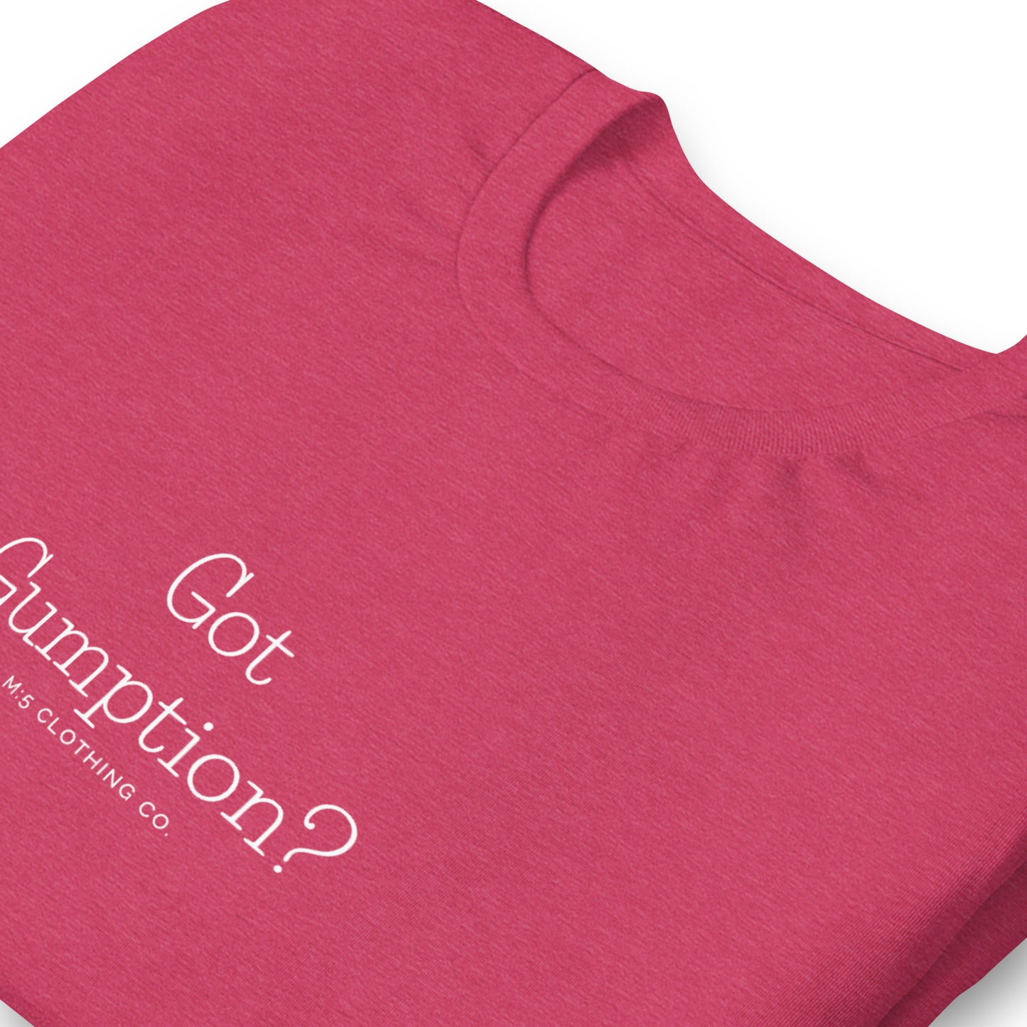 Got Gumption Unisex t-shirt